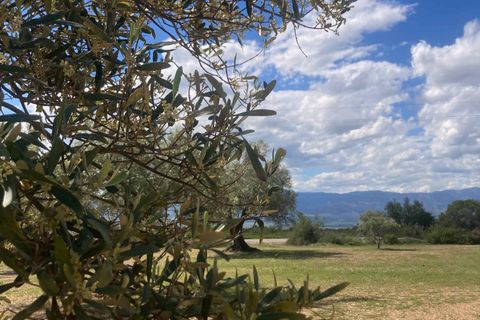 Landejendom i El Perello, Tarragona, El Perello - € 35.000 | Ref: Finca Godai Exc - foto 13